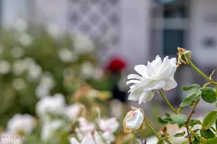 807 E State Ave, Phoenix, AZ 85020 - Photo 10