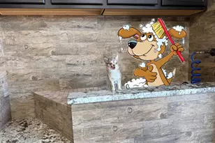 447 W Judd Rd, San Tan Valley, AZ 85143 - Photo 84