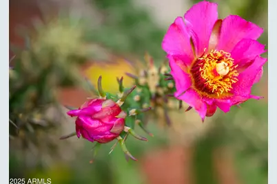 170 E Bighorn Court, Sedona, AZ 86351 - Photo 26