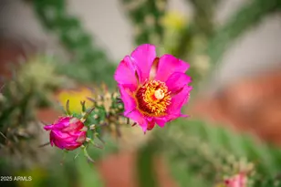 170 E Bighorn Ct, Sedona, AZ 86351 - Photo 26