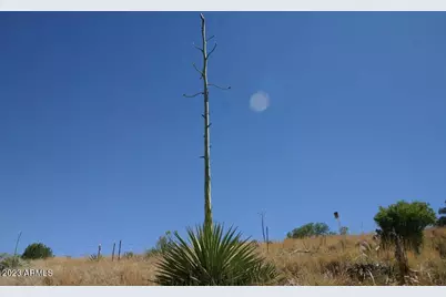 009N One More Road #-, Hereford, AZ 85615 - Photo 10