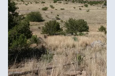 009N One More Road #-, Hereford, AZ 85615 - Photo 4