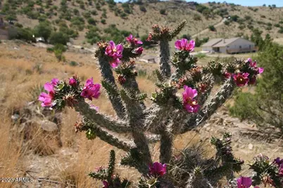 009N One More Road #-, Hereford, AZ 85615 - Photo 16