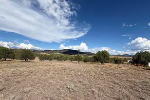 195 S Broken Trail, Young, AZ 85554 - Photo 6