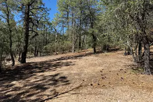 50 Summer Homes Dr, Crown King, AZ 86343 - Photo 10