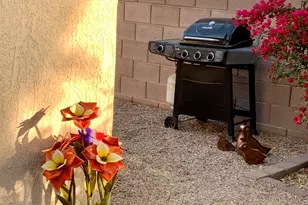 19558 N Desert Garden Dr, Surprise, AZ 85374 - Photo 28