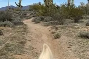 39125 N 25th Ave, Phoenix, AZ 85086 - Photo 78