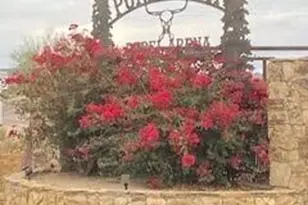 39125 N 25th Ave, Phoenix, AZ 85086 - Photo 80