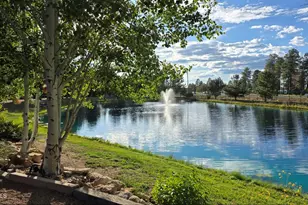 2274 Water'n Hole Rd, Overgaard, AZ 85933 - Photo 38