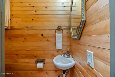 2274 Water N Hole Road, Overgaard, AZ 85933 - Photo 22