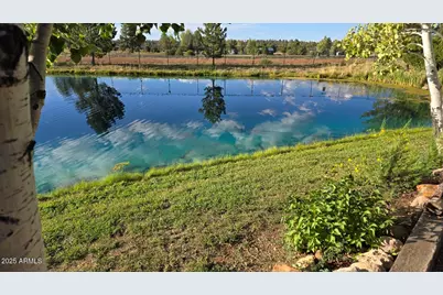 2274 Water N Hole Road, Overgaard, AZ 85933 - Photo 40