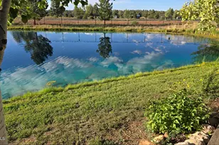 2274 Water'n Hole Rd, Overgaard, AZ 85933 - Photo 40