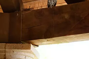 9533 E Covey Trail, Scottsdale, AZ 85262 - Photo 58