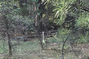 7426 W Forest Service Rd 200, Young, AZ 85554 - Photo 34