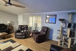 9828 E Pueblo Ave, Mesa, AZ 85208 - Photo 6