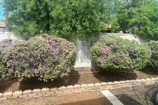 1910 E Sandra Terrace, Phoenix, AZ 85022 - Photo 22