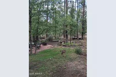 950 E Osprey Lane, Pinetop, AZ 85935 - Photo 44