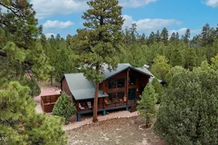 4218 Stargazer Dr, Happy Jack, AZ 86024 - Photo 4