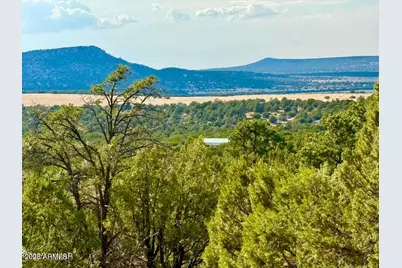 Tbd Co Rd N3109 9.11 Acres -- #-, Vernon, AZ 85940 - Photo 4