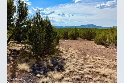 Tbd Co Rd N3109 9.11 Acres -- #-, Vernon, AZ 85940 - Photo 30