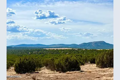 Tbd Co Rd N3109 9.11 Acres -- #-, Vernon, AZ 85940 - Photo 2