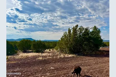 Tbd Co Rd N3109 9.11 Acres -- #-, Vernon, AZ 85940 - Photo 18
