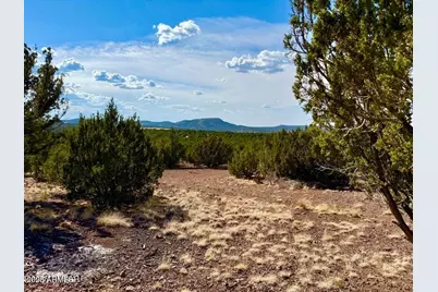 Tbd Co Rd N3109 9.11 Acres -- #-, Vernon, AZ 85940 - Photo 16