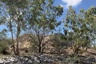 13401 E Walts Way, Vail, AZ 85641 - Photo 10