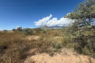 Tbd S Paint Ranch Rd, Hereford, AZ 85615 - Photo 1