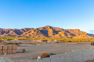 4755 S Pura Vida Way, Gold Canyon, AZ 85118 - Photo 40