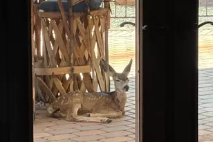 105 Via Del Viento --, Sedona, AZ 86351 - Photo 60