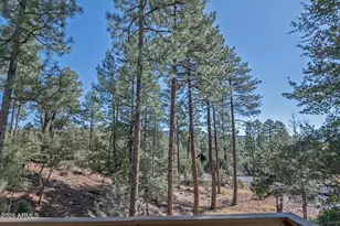 4037 W Sage Ct, Pine, AZ 85544 - Photo 52