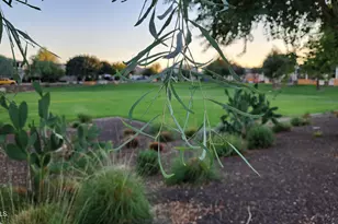 14400 W Bloomfield Rd, Surprise, AZ 85379 - Photo 24