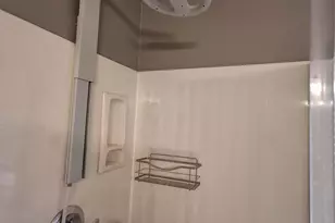 4520 E Mossman Rd, Phoenix, AZ 85050 - Photo 38