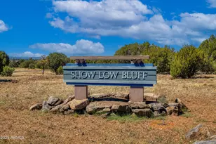 741 S Rockcreek, Show Low, AZ 85901 - Photo 1