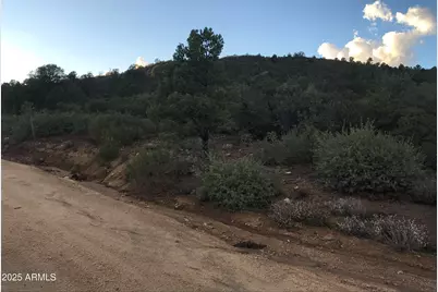 00000 W Buckhorn - V Drive #-, Peeples Valley, AZ 86332 - Photo 4