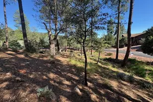 Lot 33 W Sage Ct, Pine, AZ 85544 - Photo 1
