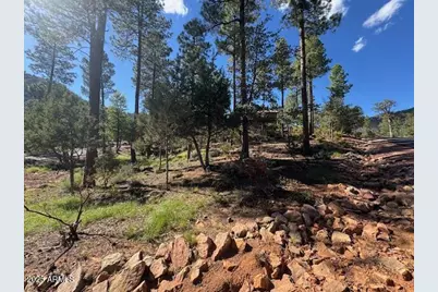 Lot 33 W Sage Court #33, Pine, AZ 85544 - Photo 2