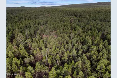 --- N --- Drive #-, Lakeside, AZ 85929 - Photo 4