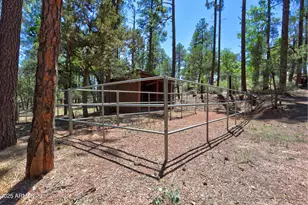 292 S Morris Mdws --, Payson, AZ 85541 - Photo 50