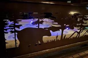 292 S Morris Mdws --, Payson, AZ 85541 - Photo 68