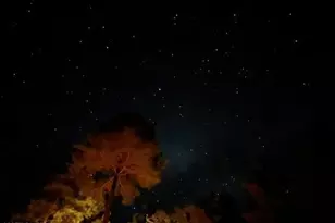 292 S Morris Mdws --, Payson, AZ 85541 - Photo 72