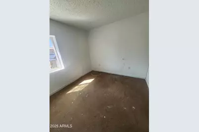 730 E 1st Street, Douglas, AZ 85607 - Photo 6