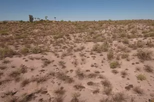 56550 Rancho Casitas Rd, Wickenburg, AZ 85390 - Photo 98