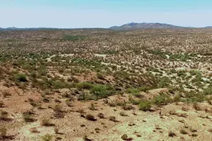 56550 Rancho Casitas Rd, Wickenburg, AZ 85390 - Photo 54