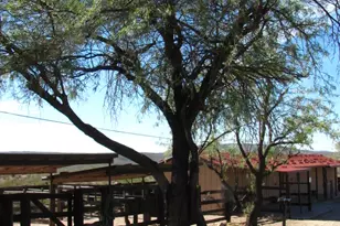 56550 Rancho Casitas Rd, Wickenburg, AZ 85390 - Photo 18