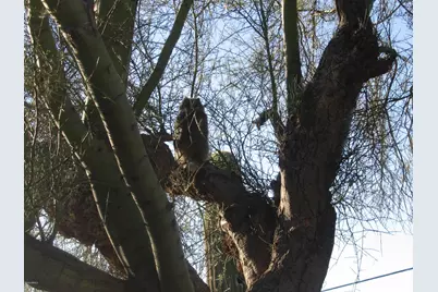 56550 Rancho Casitas Road, Wickenburg, AZ 85390 - Photo 70