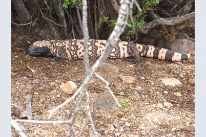 56550 Rancho Casitas Road, Wickenburg, AZ 85390 - Photo 78