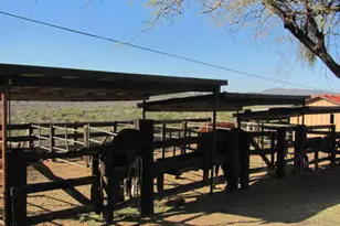 56550 Rancho Casitas Rd, Wickenburg, AZ 85390 - Photo 22