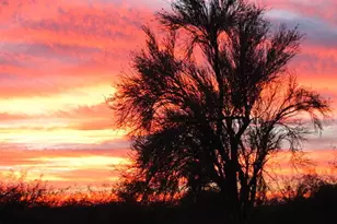 56550 Rancho Casitas Rd, Wickenburg, AZ 85390 - Photo 62